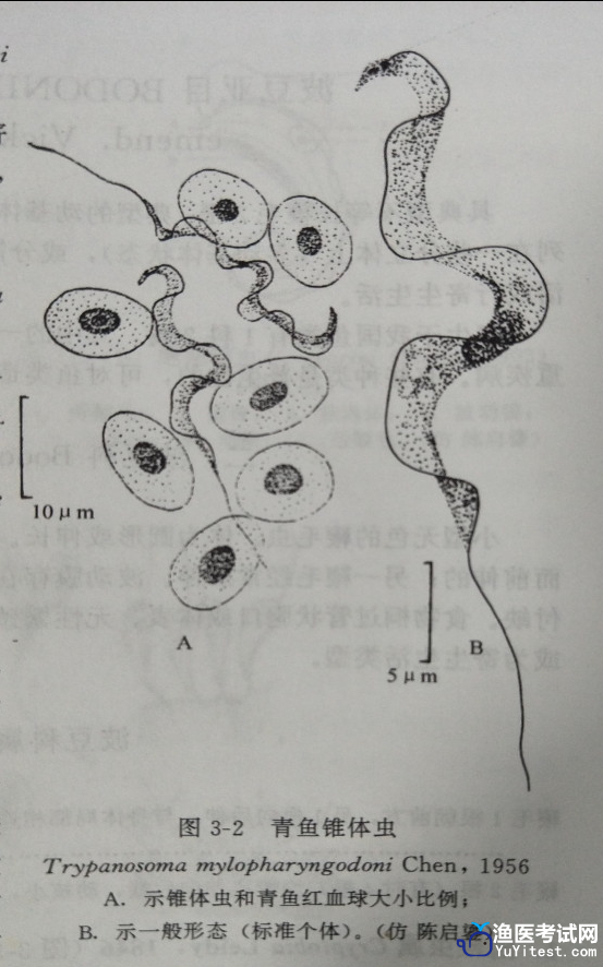 执业渔医考试网