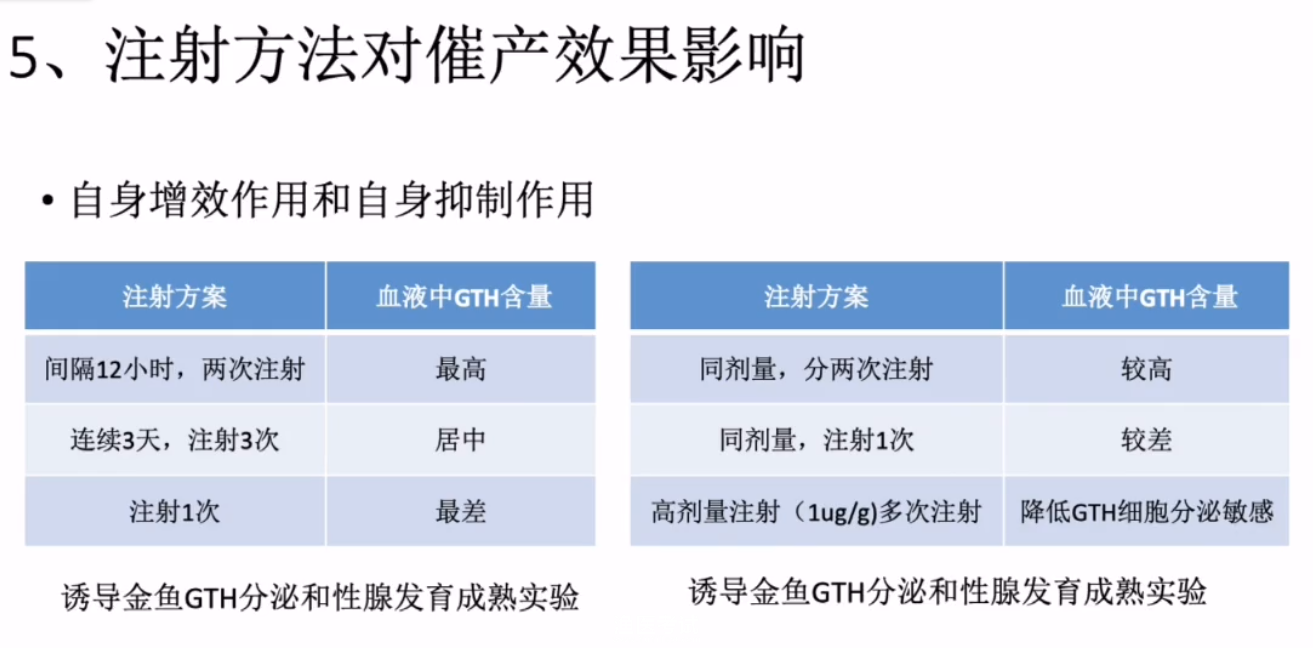 注射方法对催产效果影响