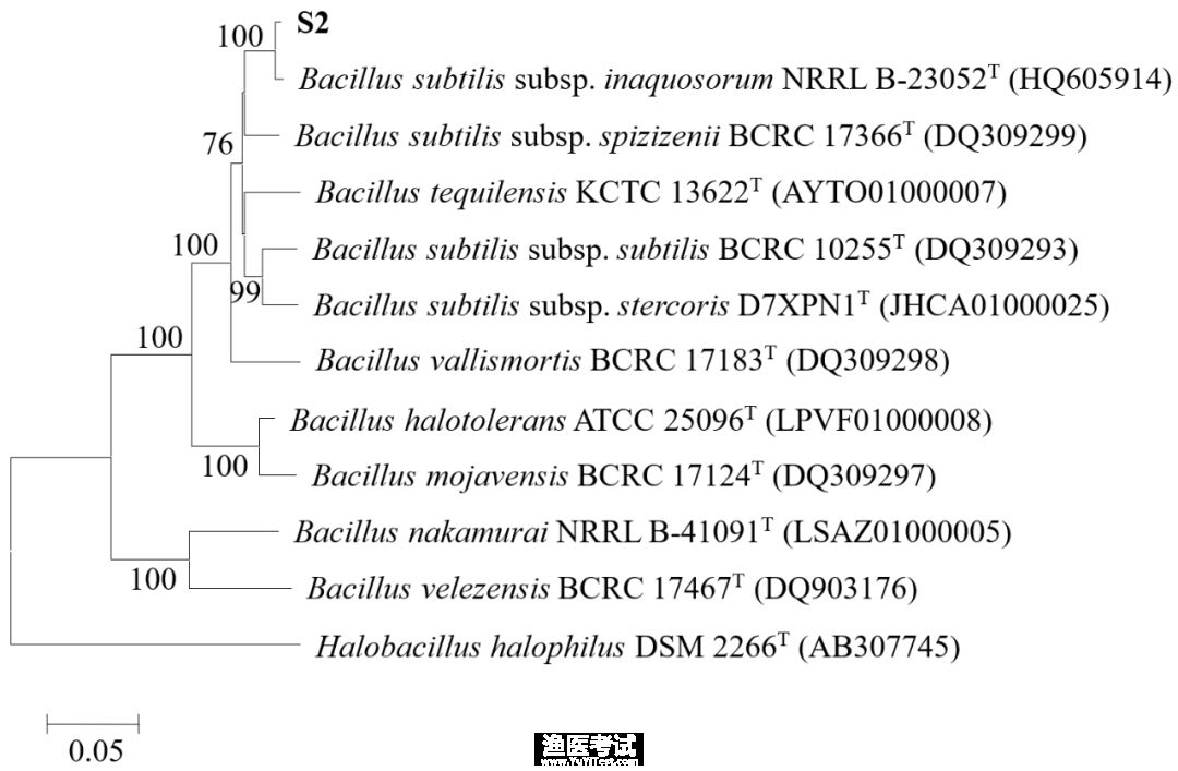 7.分子生物学坚定2.png