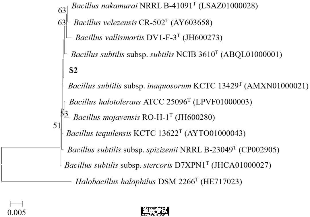 7.分子生物学坚定1.png