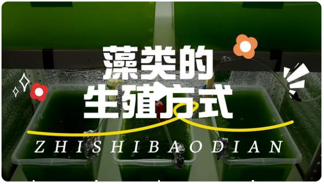 {nex_medvideo_cover_cover}