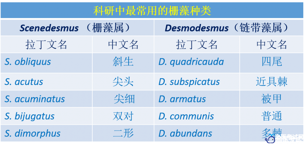 {nex_medvideo_cover_cover}